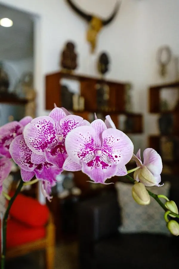 Madu Villa Seminyak Индонезия